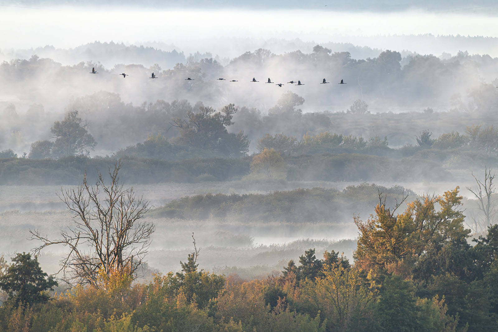 15 Mesmerizing Winners From the GDT Nature Photographer of the Year ...