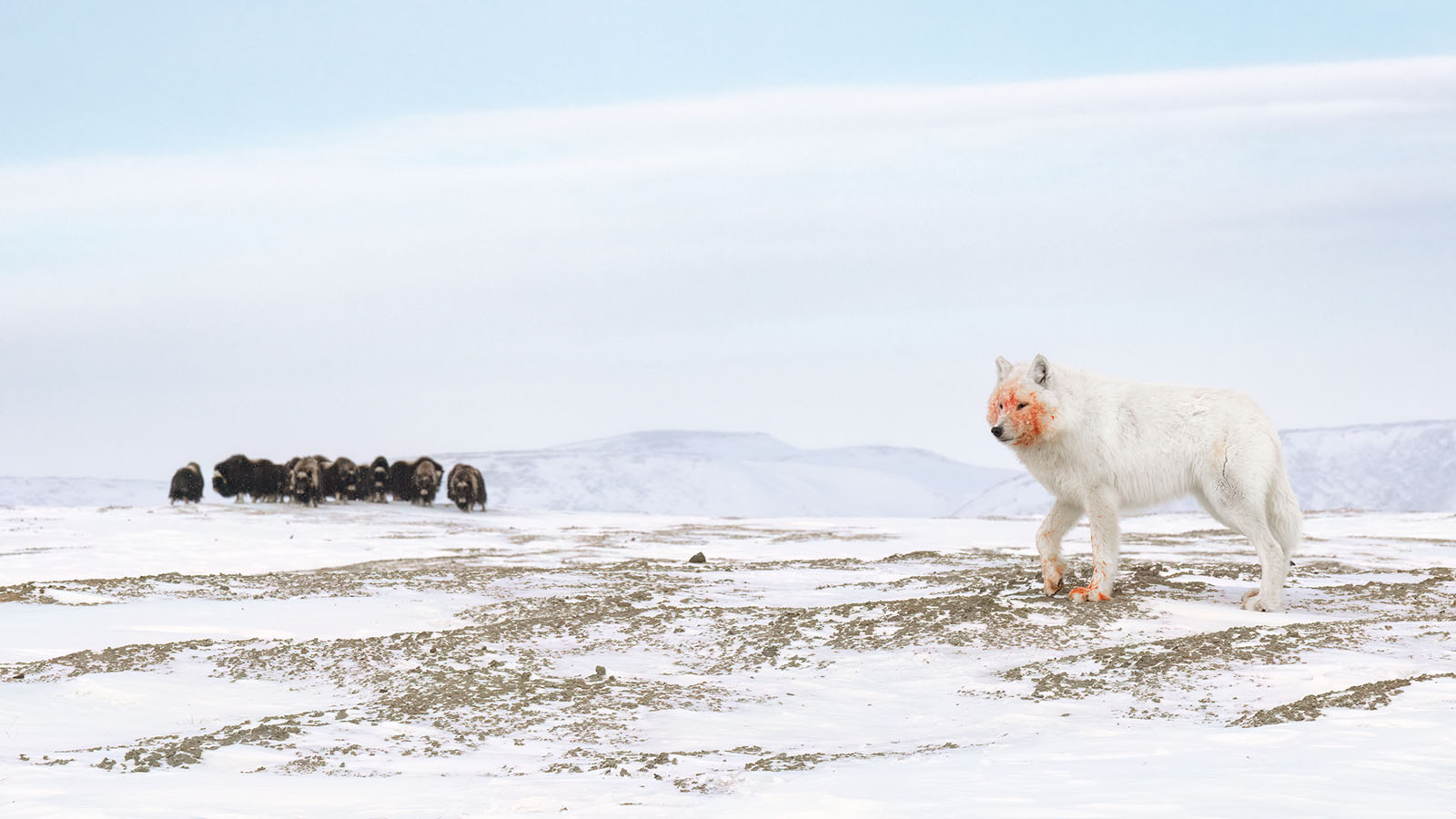 15 Mesmerizing Winners From the GDT Nature Photographer of the Year ...