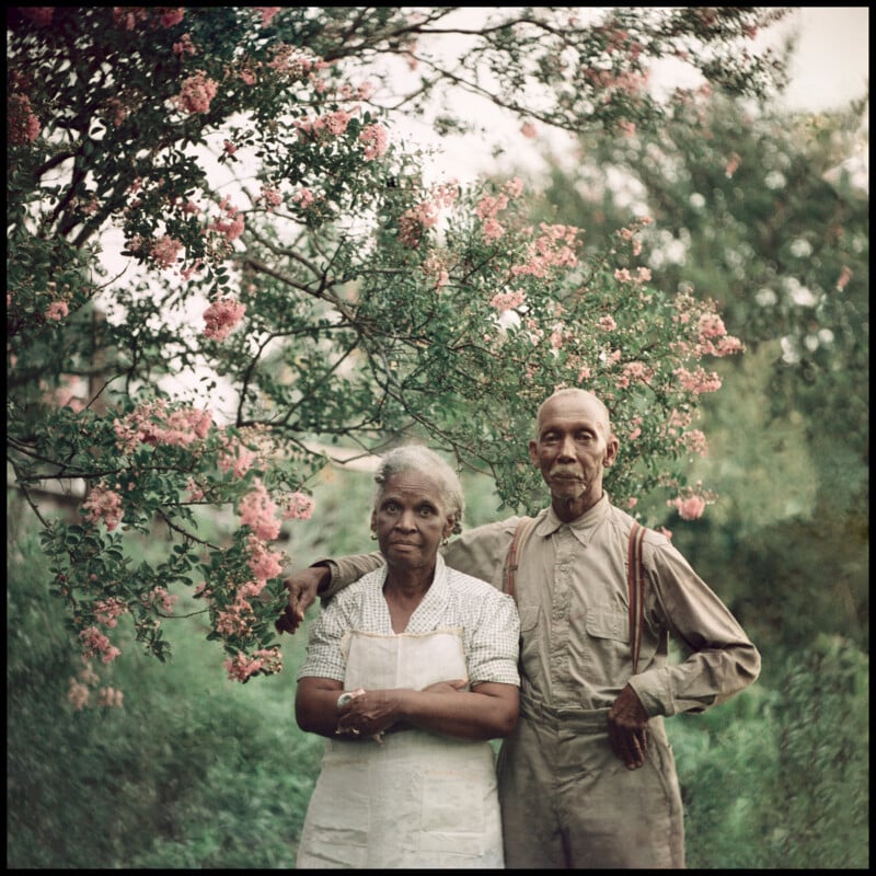 An elderly couple stands together outdoors beneath a blooming tree with pink flowers. The man has his arm around the woman, and both have calm expressions. Lush greenery surrounds them.