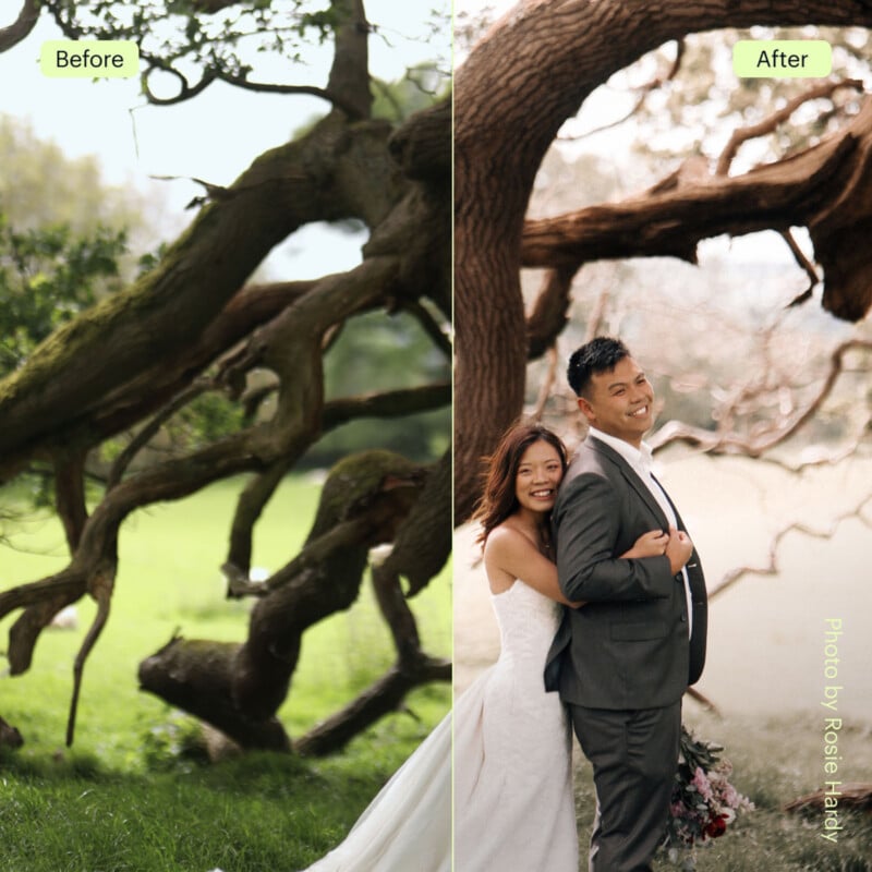 Split image with a "Before" side showing a dark, twisted tree, and an "After" side showing a smiling bride and groom in wedding attire posing together under the same tree, now bright and softly focused.