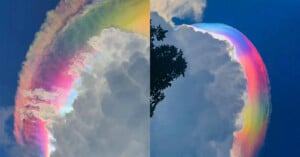 A large white cloud with vibrant, rainbow-colored iridescent edges stands out against a deep blue sky, as sunlight refracts to create a striking spectrum of colors around the cloud.