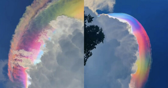 A large white cloud with vibrant, rainbow-colored iridescent edges stands out against a deep blue sky, as sunlight refracts to create a striking spectrum of colors around the cloud.