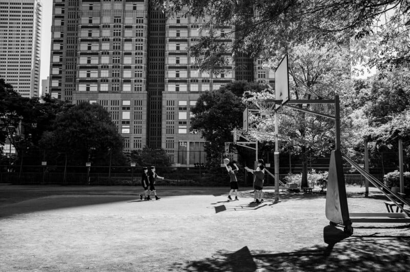 Four people play basketball on an outdoor court surrounded by trees, with tall apartment buildings in the background. Sunlight and shadows create contrast across the scene.