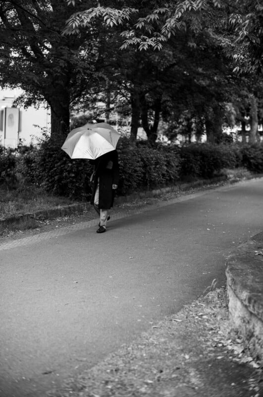Un hombre caminaba solo por un camino pavimentado con un paraguas, rodeado de árboles y arbustos. La imagen es principalmente en blanco y negro, creando una atmósfera tranquila y silenciosa.