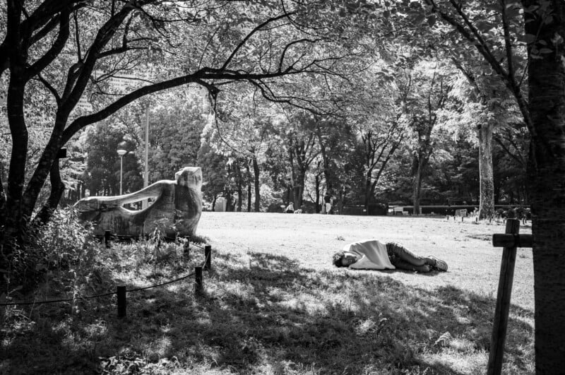 A person lies curled up on the grass in a sunlit park, next to a large, abstract stone sculpture. Tall trees cast dappled shade and sunlight across the scene.