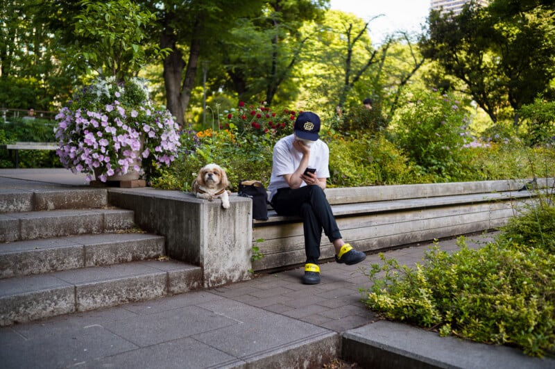 A person in a white shirt and black pants sits on a wooden bench in a park, looking at their phone. A small dog sits beside them, and colorful flowers and greenery surround the area.