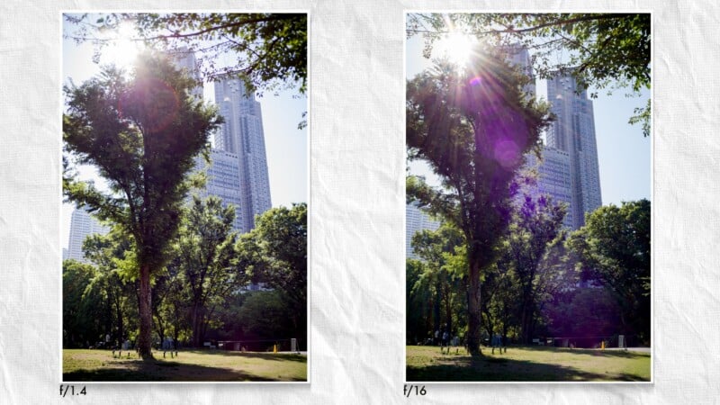 Two side-by-side photos of a city park show sunlight streaming through trees with a tall building in the background. The left image is labeled f/1.4, and the right is labeled f/16, showing differences in lighting and lens flare.