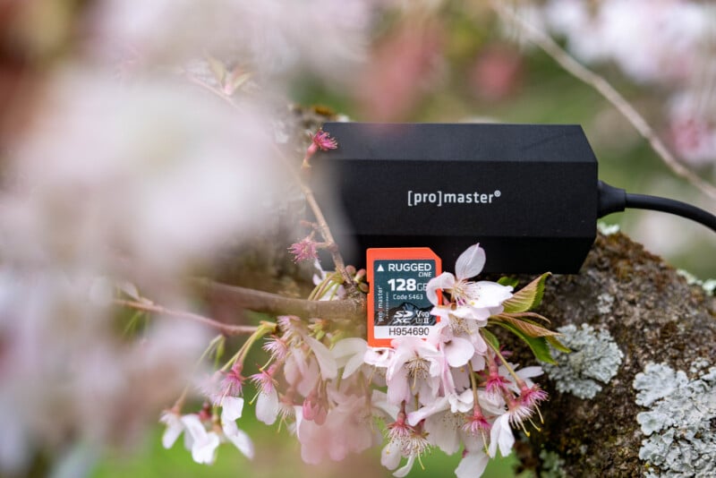A black [pro]master device with a 128GB SD card is resting on a mossy branch among pink cherry blossoms. The SD card is partially inserted in the device, and the scene is outdoors.