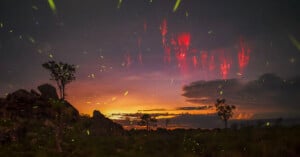 A dramatic sunset sky over a rocky landscape with scattered trees, glowing fireflies, and streaks of red sprites illuminating the night clouds and starry sky above.