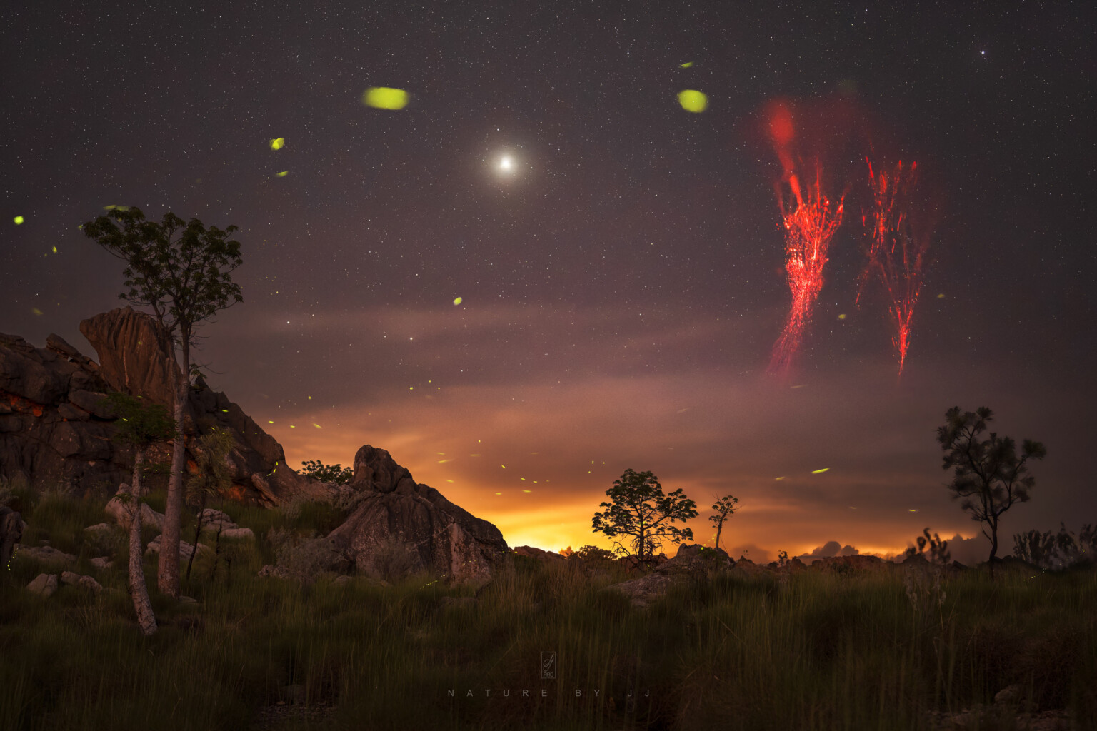 Photographer Captures Fireflies and Rare Lightning in Dazzling Image ...