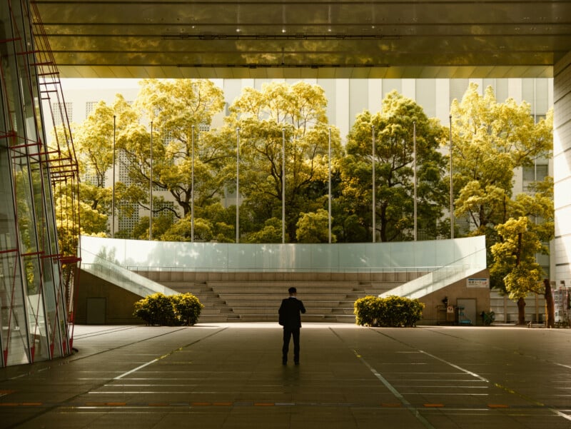A person stands alone in a modern open plaza, facing wide steps and lush green trees illuminated by sunlight, with tall glass and steel structures framing the scene.
