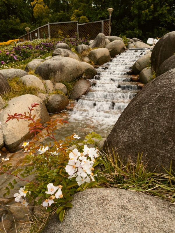 A small waterfall flows over rocks in a garden, surrounded by large stones, white flowers, green grass, and colorful plants with a fence and trees in the background.