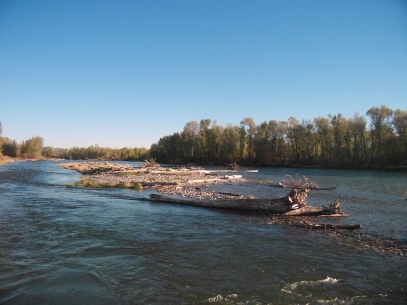 A river with gently flowing water passes by a gravel and driftwood-covered island, with a forested tree line in the background under a clear blue sky.
