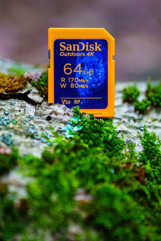 A yellow SanDisk Outdoors 4K 64GB SD card stands upright on mossy, cracked bark outdoors. The card displays read speed 170 MB/s and write speed 80 MB/s.