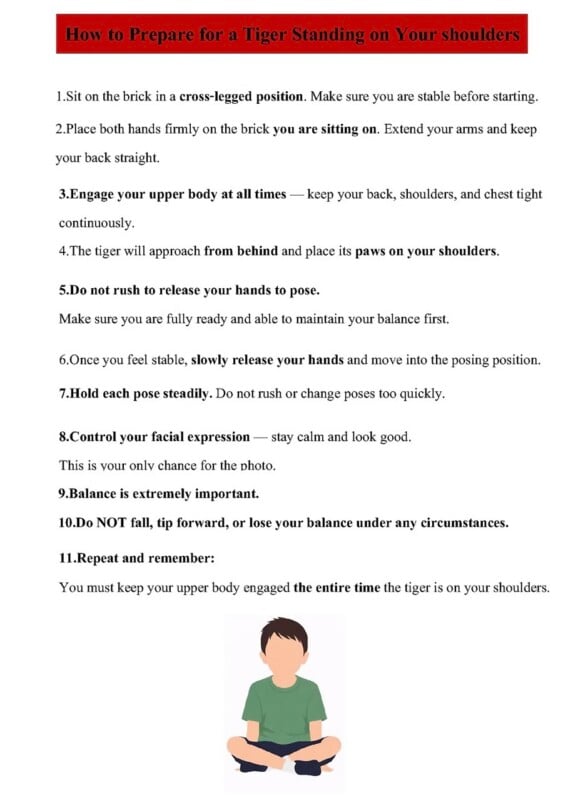 An instructional poster titled "How to Prepare for a Tiger Standing on Your shoulders" lists 11 steps in black text, with key warnings in bold, and some phrases highlighted in red for emphasis. The poster includes a cartoon boy sitting cross-legged.
