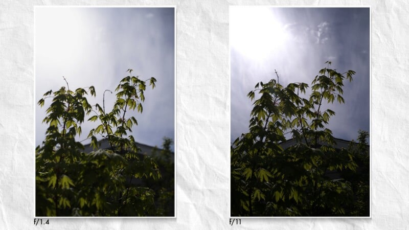 Dos fotografías, una al lado de la otra, de un árbol frondoso con luz solar intensa, etiquetadas f/1,4 (izquierda) y f/11 (derecha), que muestran diferencias en exposición y detalle debido a la configuración de apertura de la cámara.