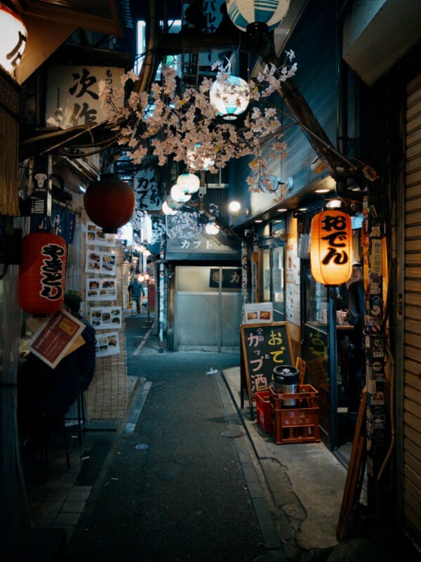 A narrow alley in Japan decorated with paper lanterns and cherry blossom branches, lined with small restaurants and signs, creating a cozy, inviting nighttime atmosphere.