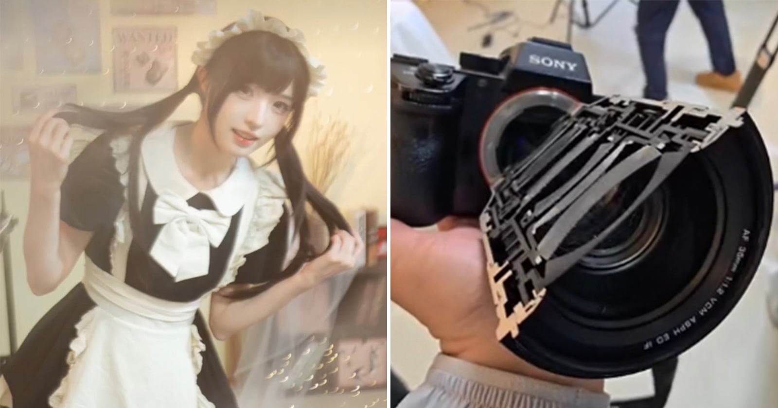 What Does It Look to Take a Photo With Half a Lens?
