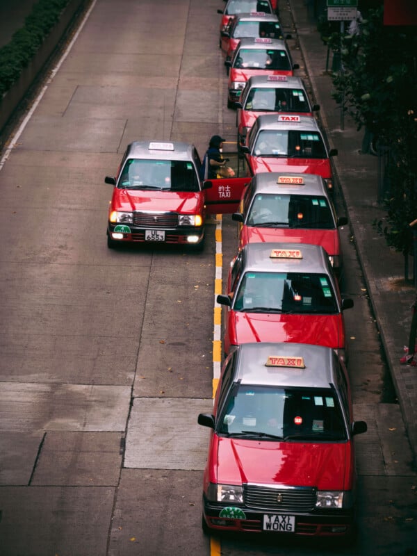 A row of red taxis is parked along the side of a street while one person enters a taxi near the front of the line. The street is bordered by trees and metal railings.