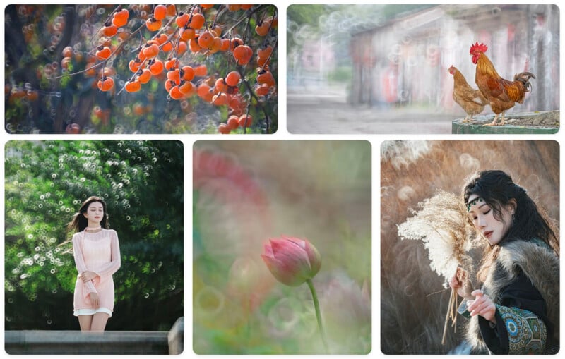 A collage of five images: ripe persimmons on a tree, two chickens walking on a path, a woman in a pink dress outdoors, a single pink flower, and a woman in costume holding pampas grass. All images have a dreamy, blurred background.