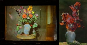 Two images show colorful flower arrangements in vases. The left image has a variety of flowers in a blue vase on a small table, while the right image features large red flowers in a similar vase on a green surface.