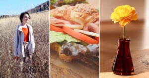 A collage with three panels: a person standing in tall dry grass outdoors, a close-up of a sandwich with lettuce, tomato, and ham on a croissant, and a single yellow flower in a brown glass vase on a wooden table.