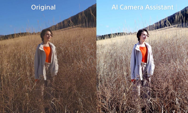 Split image showing a woman standing in tall grass, with the left side labeled "Original" (darker, less vibrant) and the right side labeled "AI Camera Assistant" (brighter, clearer colors and improved contrast).