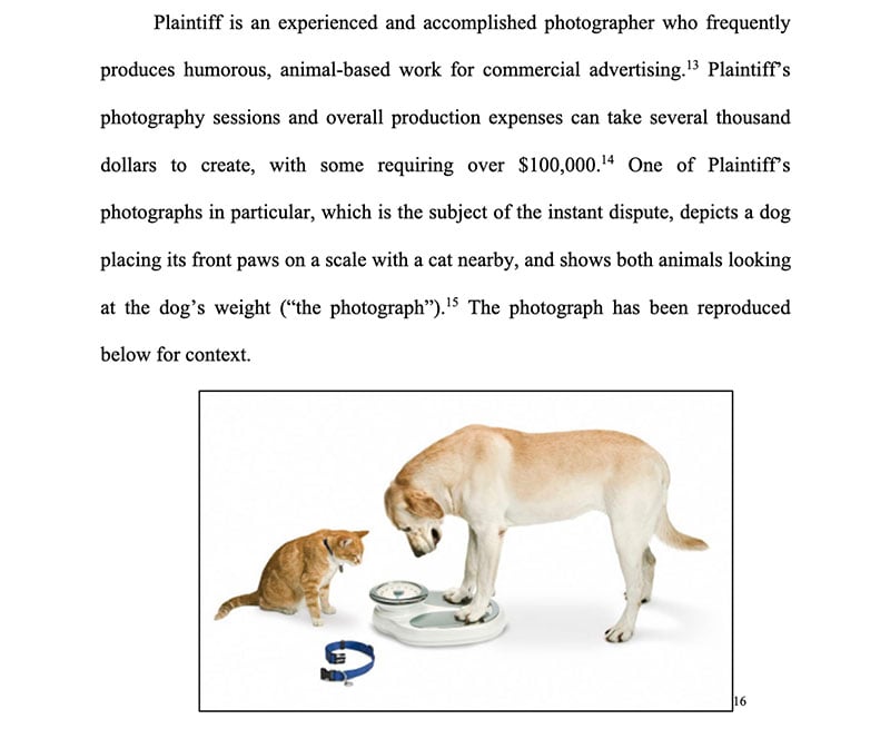 A large yellow dog stands with its front paws on a scale, looking down at it alongside an orange cat, with both animals appearing to examine the scale. A blue collar and leash are placed nearby on the floor.