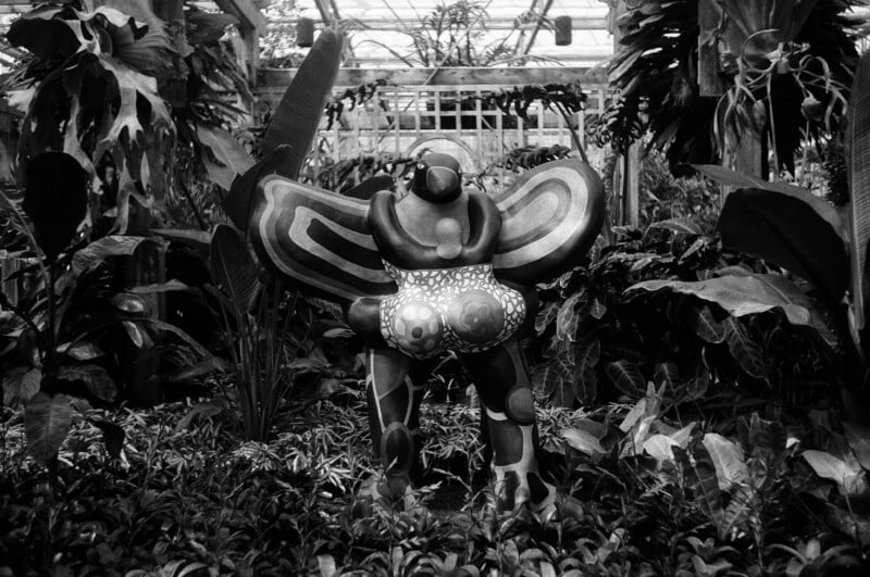 A colorful abstract statue of a winged figure with exaggerated curves stands among lush plants in a greenhouse. The sculpture has bold patterns and is surrounded by dense foliage.