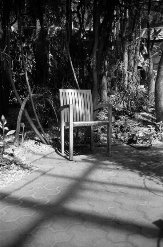 A wooden chair sits alone on a sunlit path, surrounded by dense plants and tree branches, casting shadows on the ground in a black and white outdoor setting.