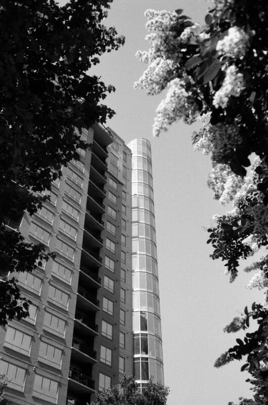 A modern high-rise building with a cylindrical glass section stands against the sky, framed by leafy tree branches and white blossoms in the foreground.