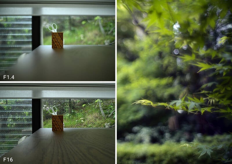 A comparison of photos taken at f/1.4 and f/16 shows scissors in a holder on a table with blurred and sharp backgrounds, next to an image of green leaves with a blurred background.