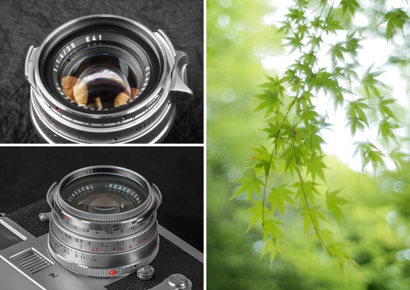 A collage with two close-up shots of vintage camera lenses on the left, showing detailed mechanics, and a photo of bright green maple leaves against a blurred natural background on the right.