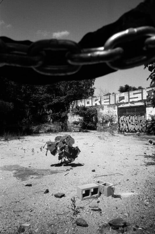 A black and white photo of an abandoned lot with graffiti-covered walls, scattered debris, and a chain hanging at the top. A small plant grows amid the rubble, and broken concrete blocks lie on the ground.