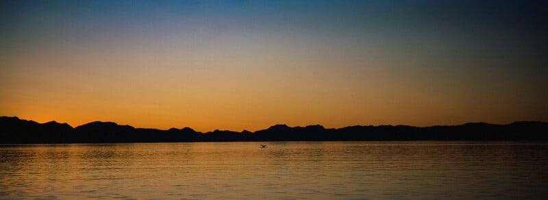 A calm body of water reflects the golden and blue hues of a sunset, with dark mountain silhouettes in the distance and a lone bird flying low over the water.