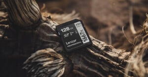 A Lexar Professional 128GB SD memory card with 250 MB/s speed rests on a textured piece of dried wood or bark in natural light.