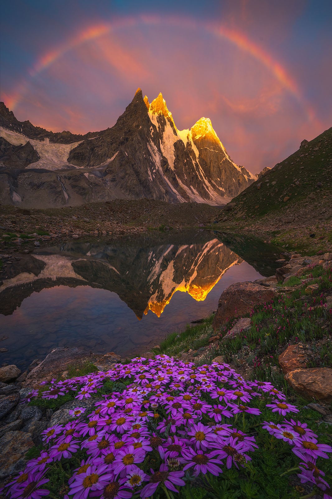 Purple wildflowers in the foreground, a calm reflective lake, sharp mountain peaks glowing with golden sunlight, and a rainbow arching over the mountains under a dramatic sky.