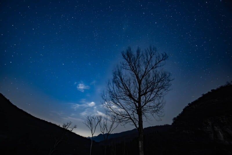 A leafless tree stands silhouetted against a night sky filled with stars, with faint clouds and dark hills in the background. The scene is peaceful and serene, illuminated by soft moonlight.
