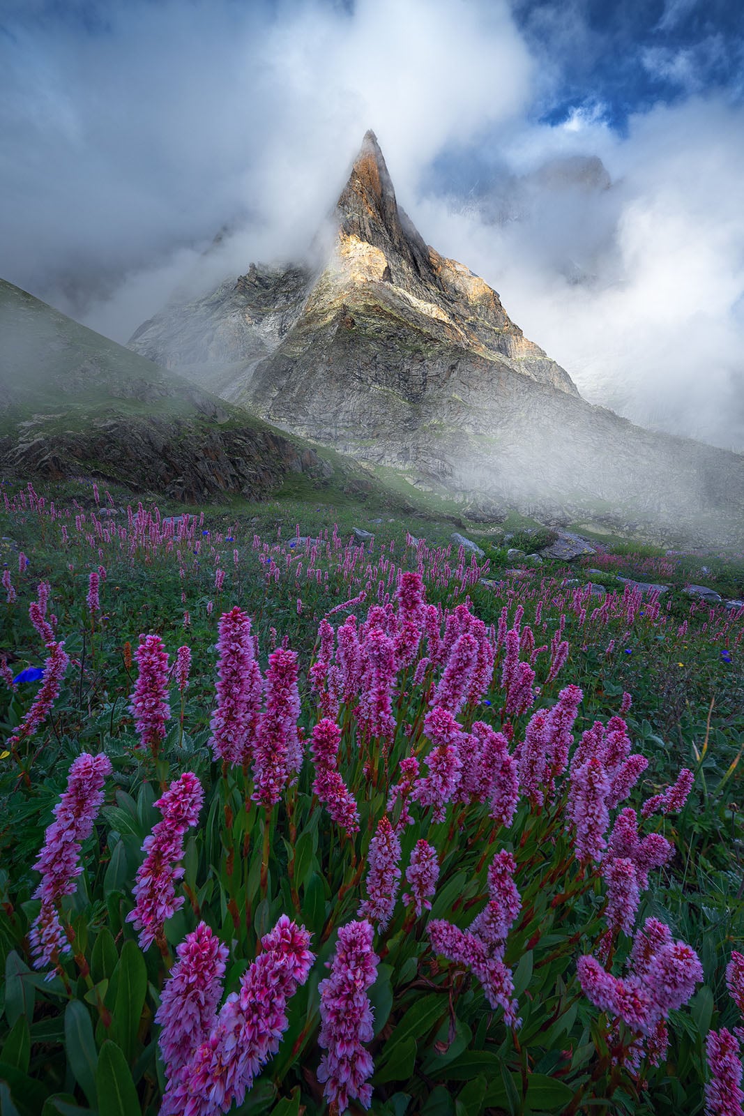 A dramatic mountain peak rises through swirling clouds above a lush meadow filled with clusters of pink wildflowers, under a partly cloudy blue sky. Mist drifts across the scene, creating a mystical atmosphere.