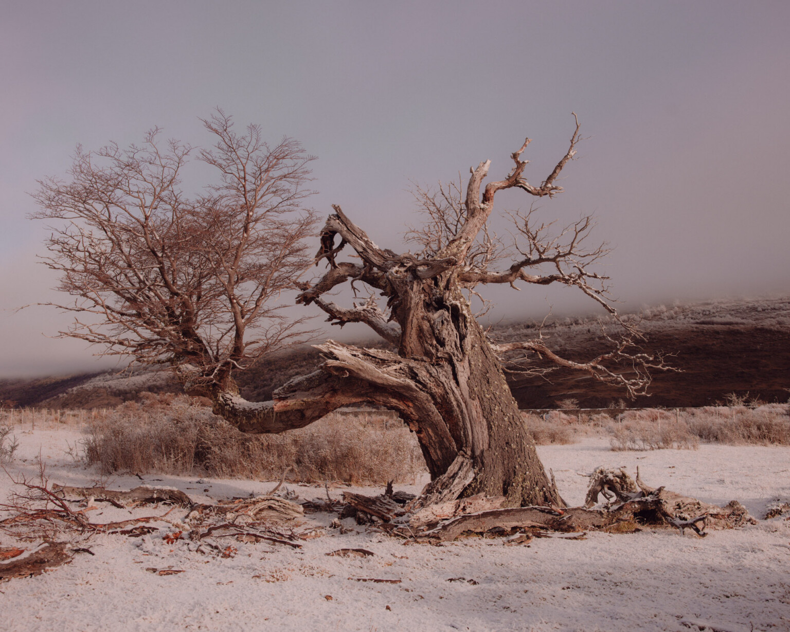 Photographer Spends Six Years with Chilean Ranchers Who Live in ...