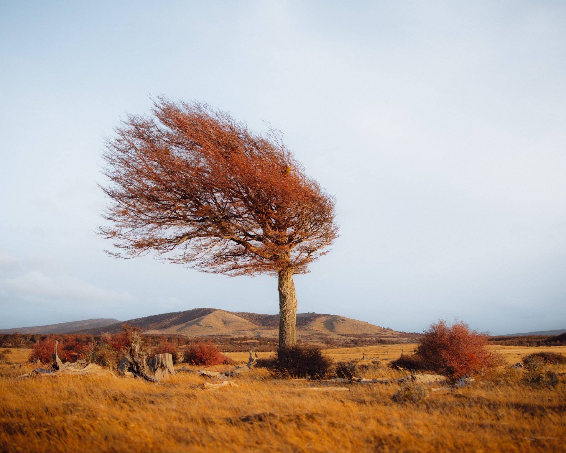 Photographer Spends Six Years with Chilean Ranchers Who Live in ...