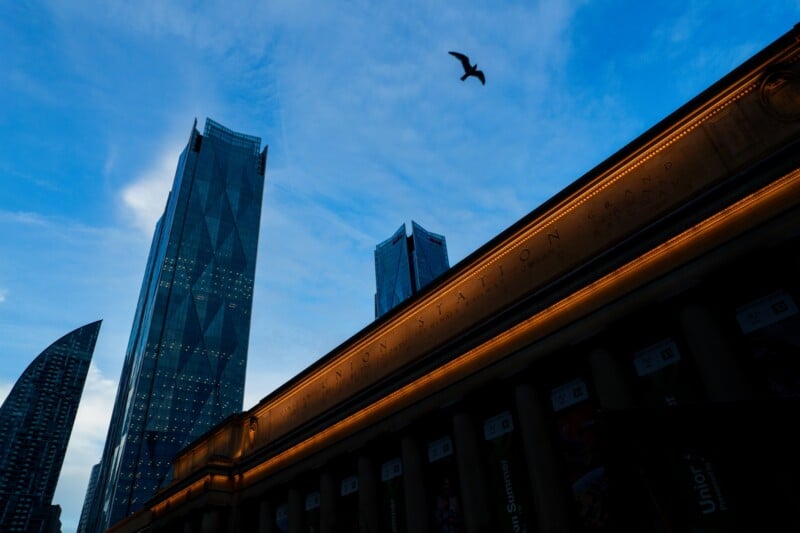 A low-angle view of tall modern skyscrapers and the lit facade of Union Station at dusk, with a bird flying in the blue evening sky.