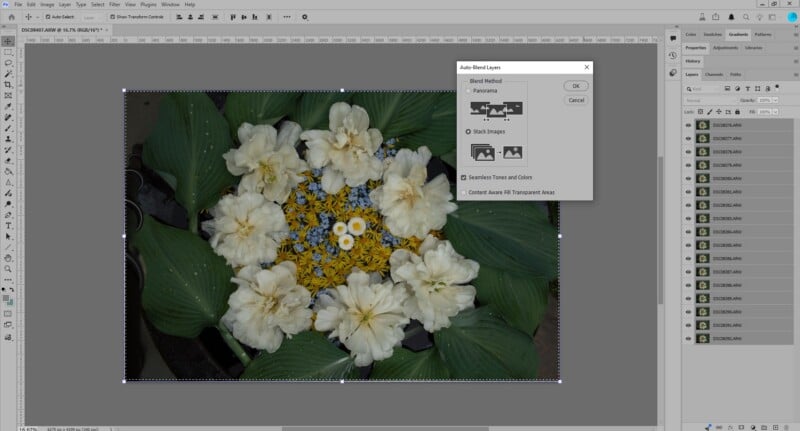 A Photoshop workspace shows a floral image with white flowers and green leaves being edited. An "Auto-Blend Layers" dialog box is open, and multiple image layers are visible in the Layers panel on the right.