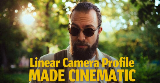 A bearded man wearing sunglasses stands outdoors among trees with sunlight streaming through leaves. Bold yellow text reads: "Linear Camera Profile MADE CINEMATIC.