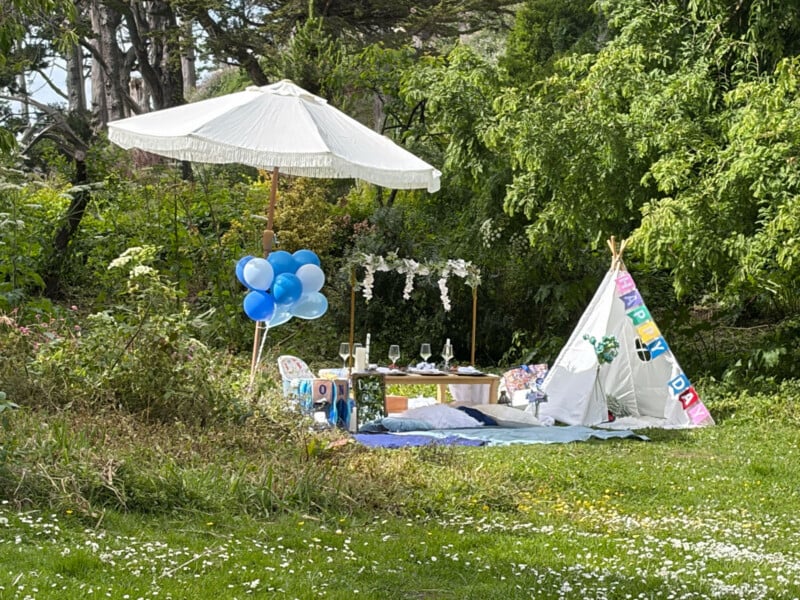 A picnic setup in a grassy park features a white umbrella, a low table with place settings, blue balloons, a small play tent decorated with colorful flags, and blankets laid out, surrounded by trees and greenery.