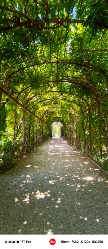 A sun-dappled gravel pathway runs under a green, leafy arbor with metal arch supports, creating a tunnel effect. Light filters through the dense canopy, casting shadows on the path.