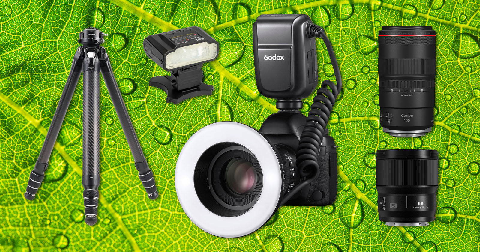 Save Big on Macro Photography Essentials
