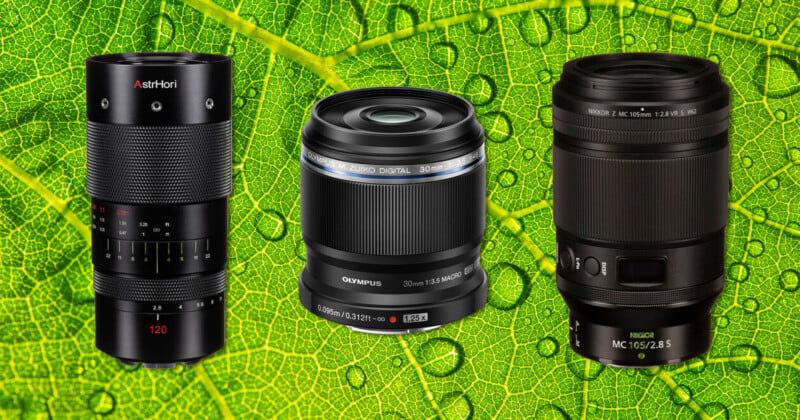 Three camera lenses are displayed upright against a vibrant green leaf background with visible veins and water droplets. The lenses vary in size and branding, showcasing different focal lengths and features.