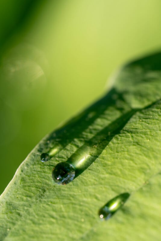 A close-up of a green leaf with a few water droplets resting on its surface, casting soft shadows. The background is blurred with shades of green, creating a fresh and natural atmosphere.