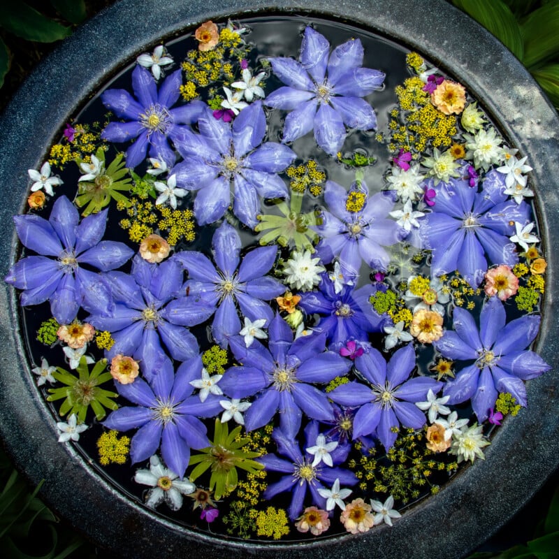 A round stone basin filled with water displays an arrangement of floating purple, yellow, white, and pink flowers, creating a vibrant and colorful floral pattern.
